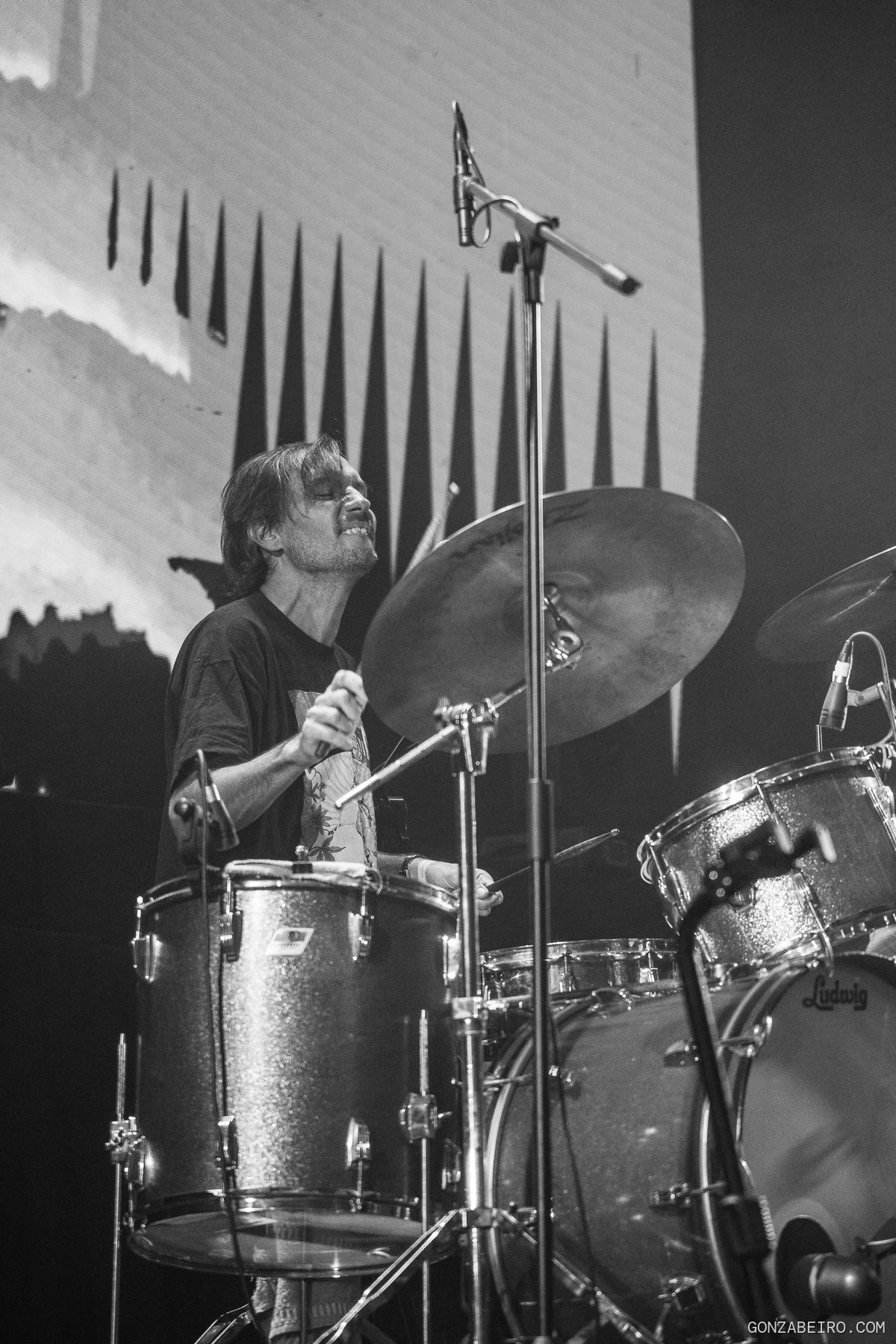 Festival Tracción a Sangre en vivo, fotografía 1.